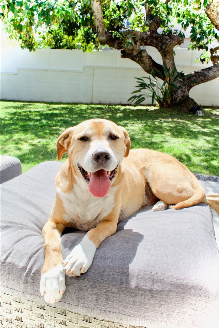 MLS #SB26051603 image #37