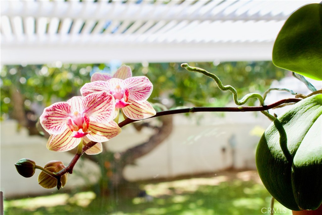 MLS #SB26051603 image #40