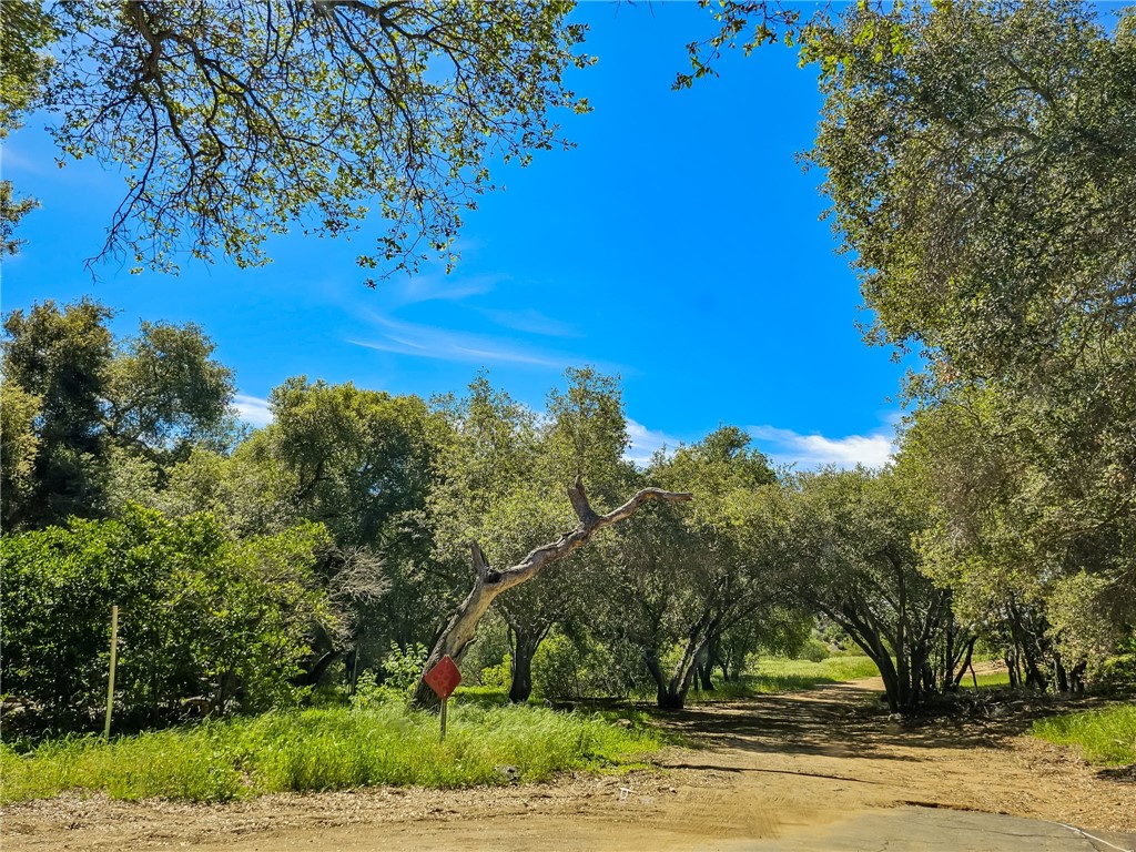 MLS #SB26056159 image #11