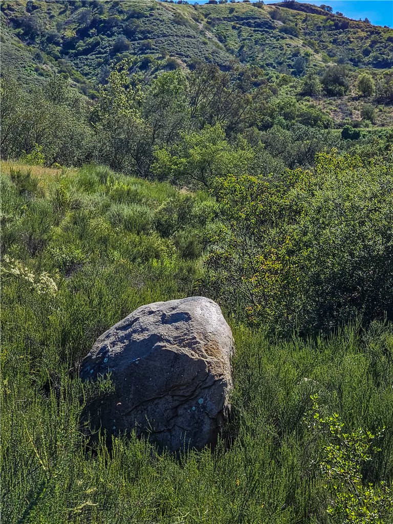 MLS #SB26056159 image #12