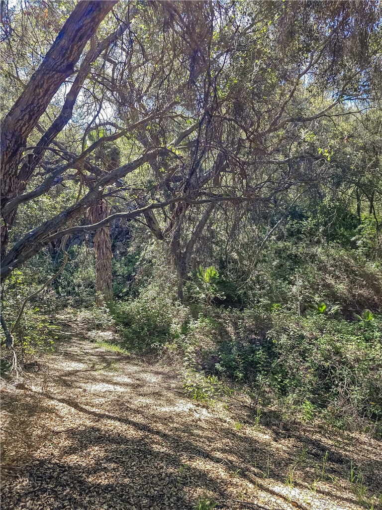 MLS #SB26056159 image #15