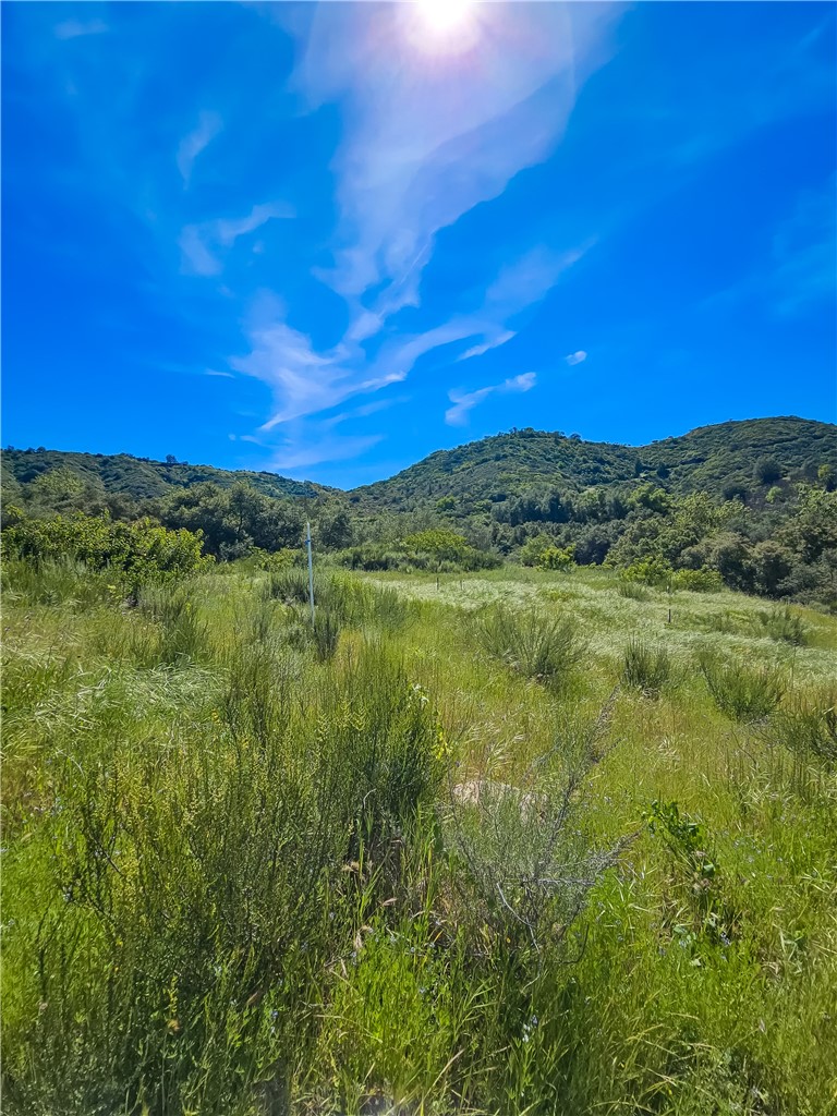 MLS #SB26056159 image #16