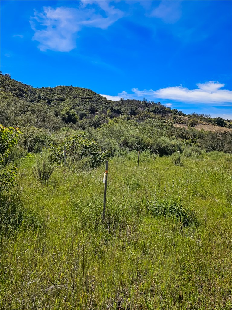 MLS #SB26056159 image #2