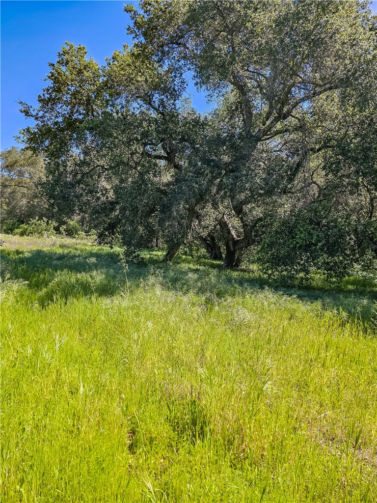 MLS #SB26056159 image #3