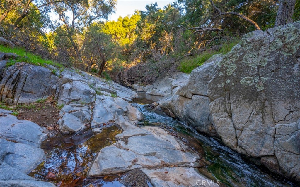 MLS #SB26056159 image #4