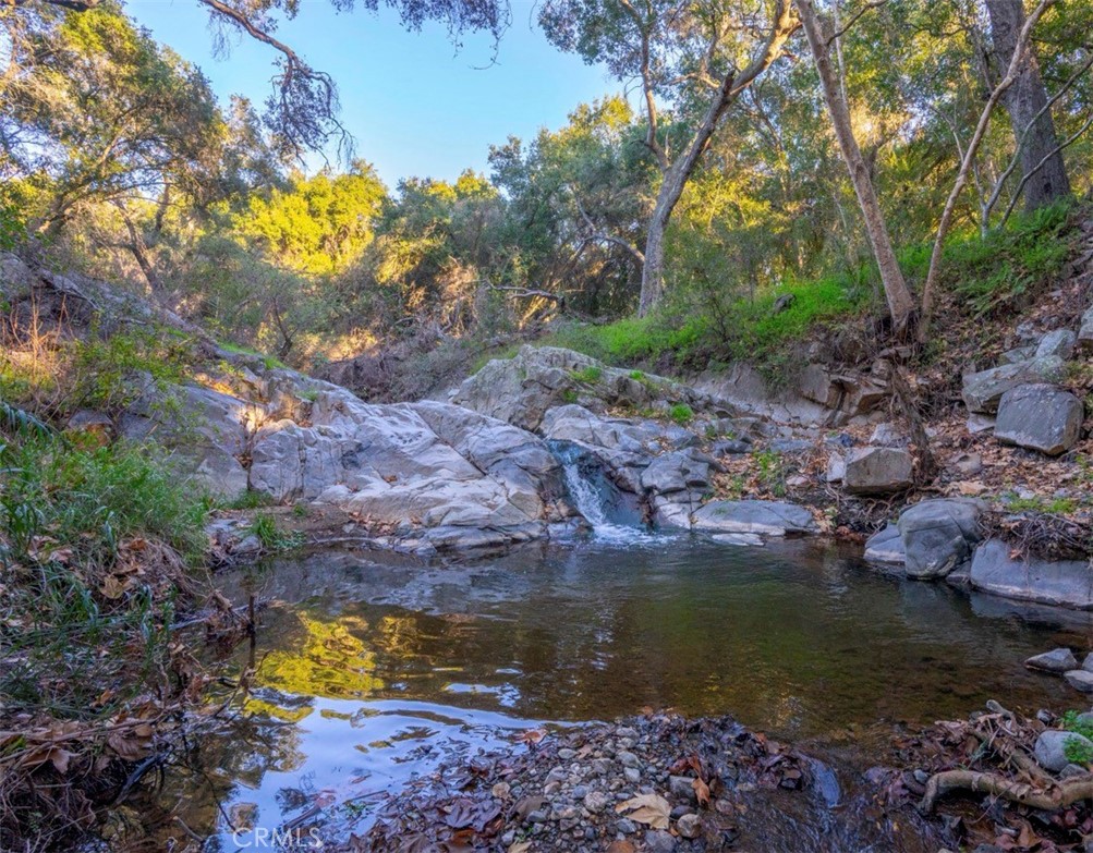 MLS #SB26056159 image #5