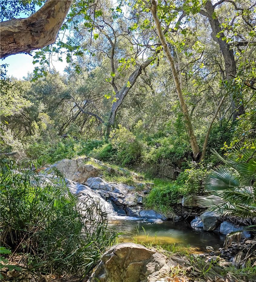 MLS #SB26056159 image #6