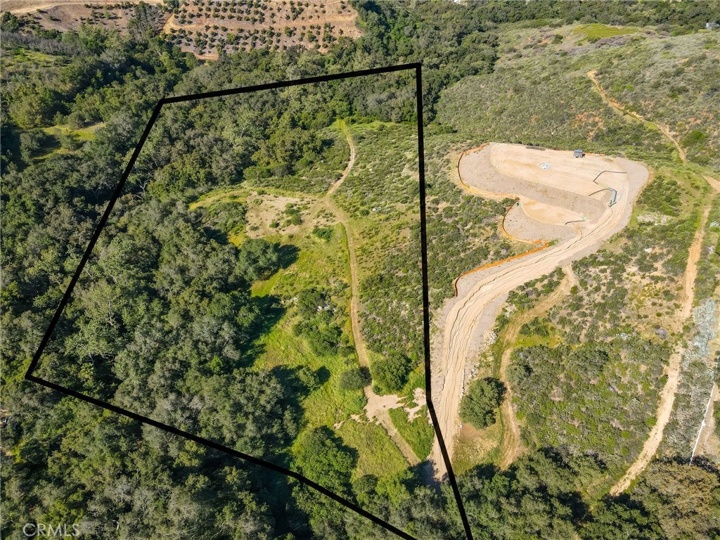 MLS #SB26056159 image #7