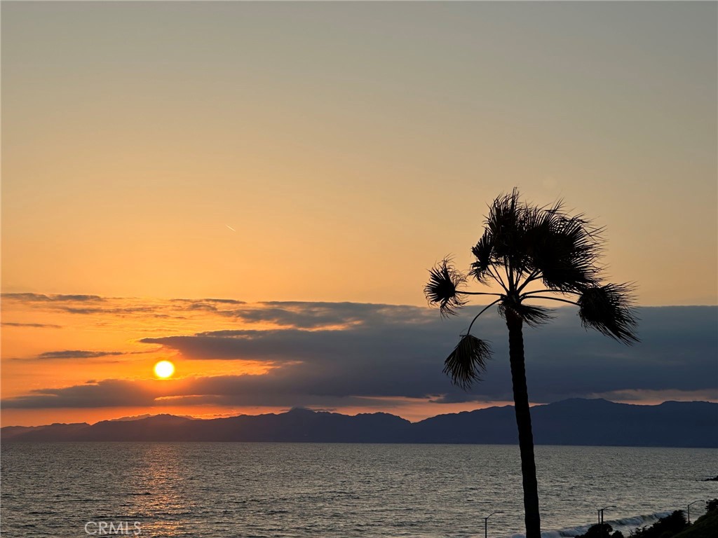 MLS #SB26057054 image #37