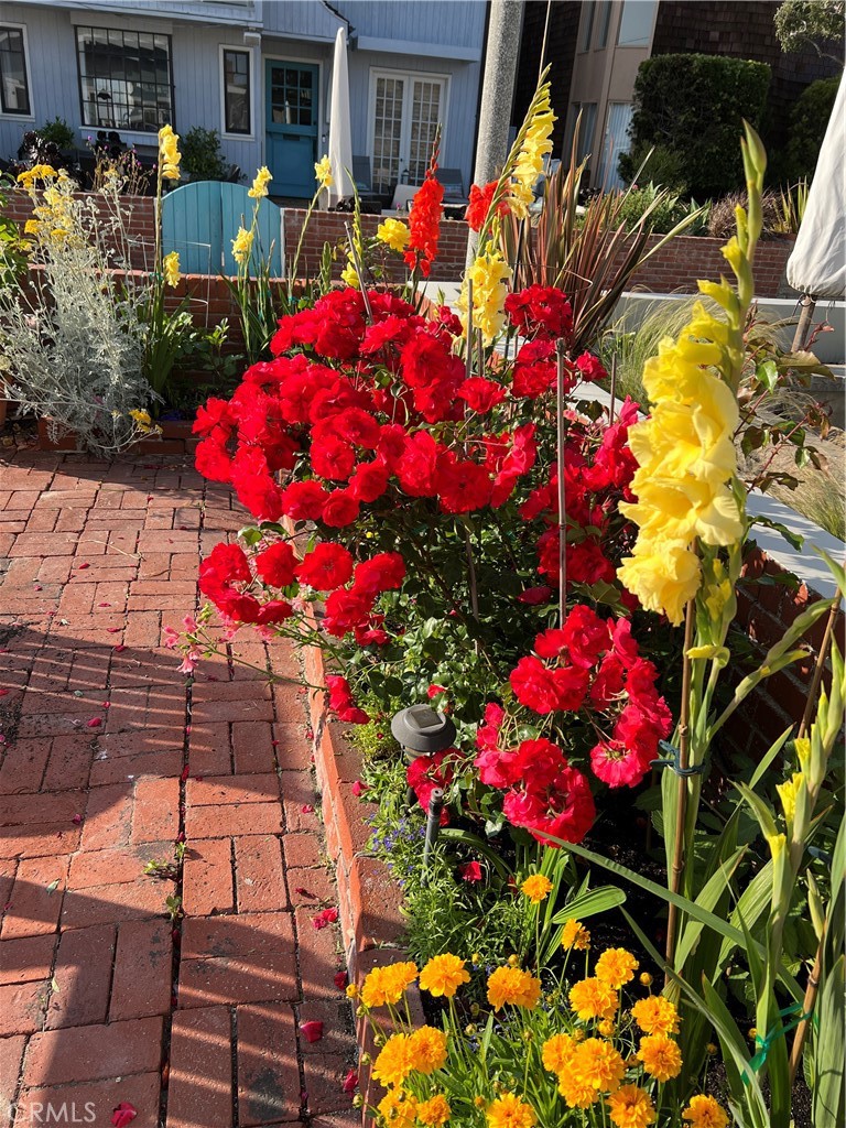 MLS #SB26057915 image #10