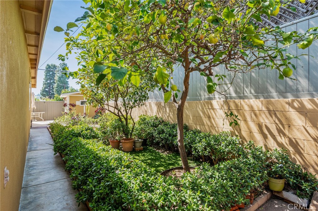 MLS #SB26059248 image #37