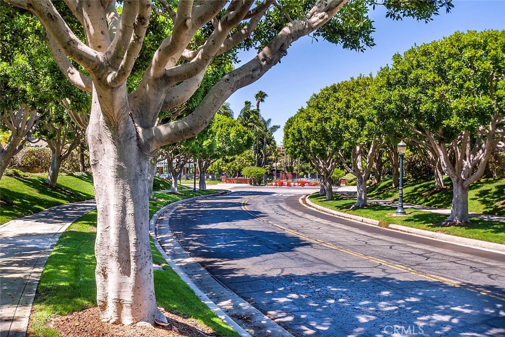 MLS #SB26062264 image #22