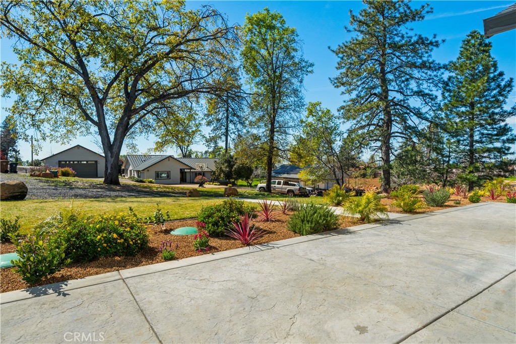 MLS #SN26051655 image #5