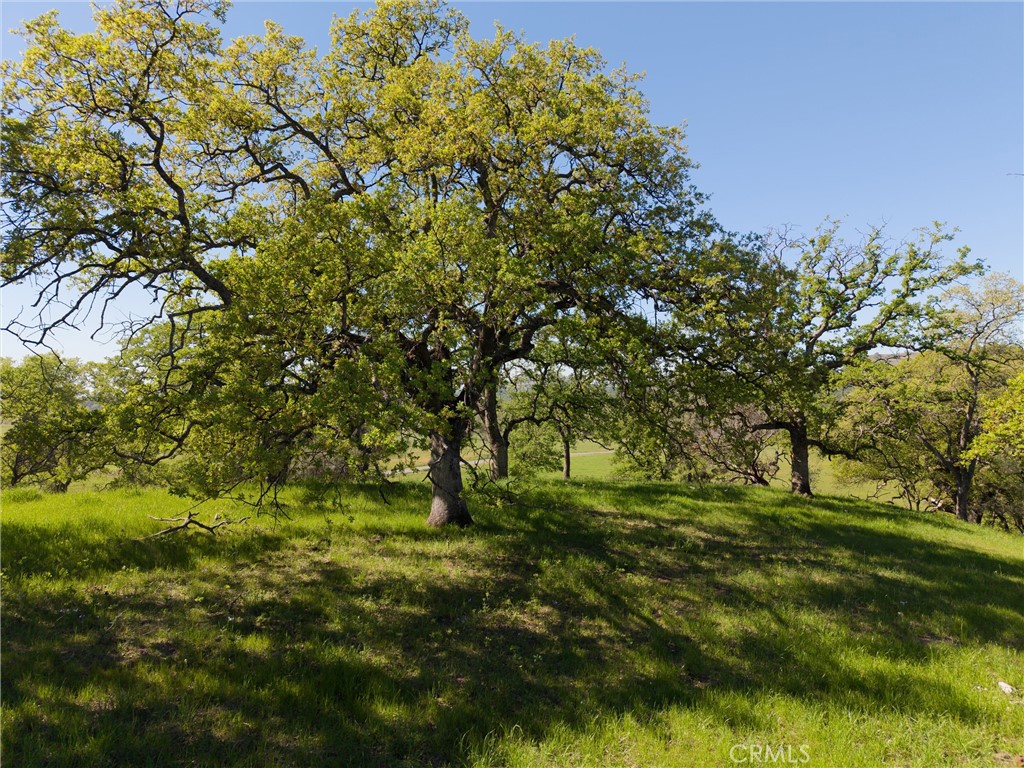 MLS #SN26055316 image #29