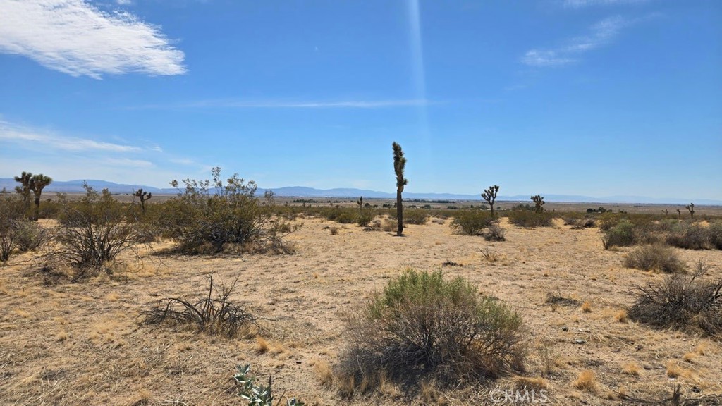 MLS #SR25259975 image #1