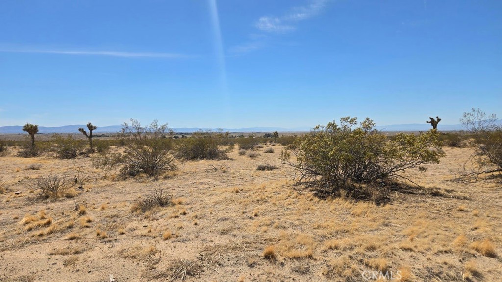 MLS #SR25259975 image #10