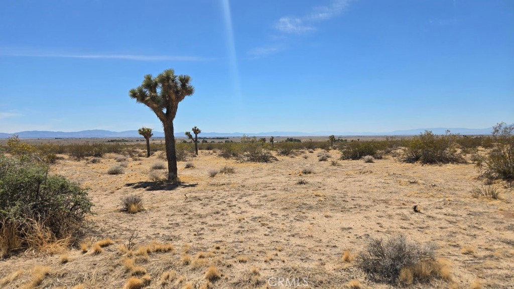 MLS #SR25259975 image #11