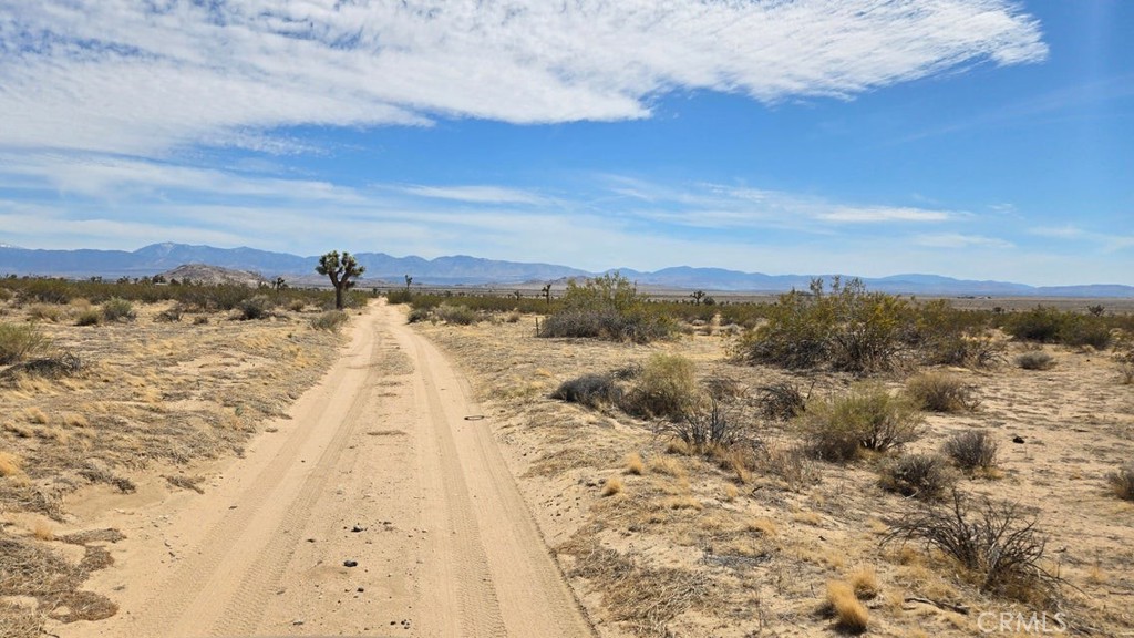 MLS #SR25259975 image #12