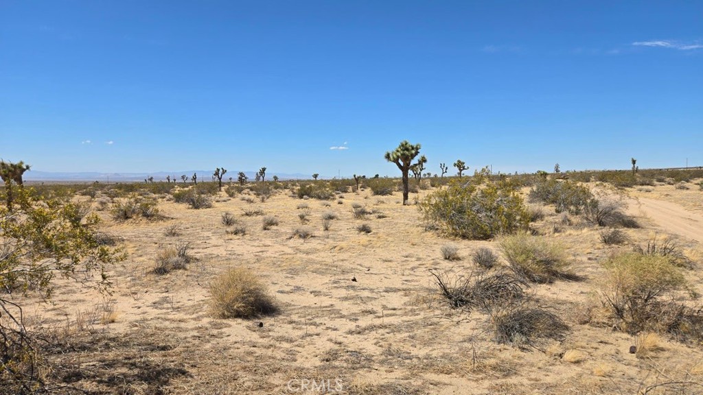 MLS #SR25259975 image #13