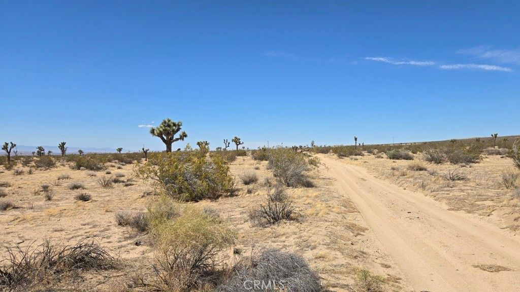 MLS #SR25259975 image #14