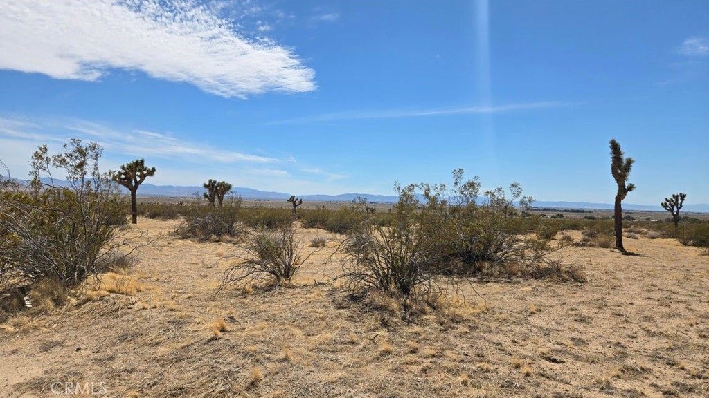 MLS #SR25259975 image #2