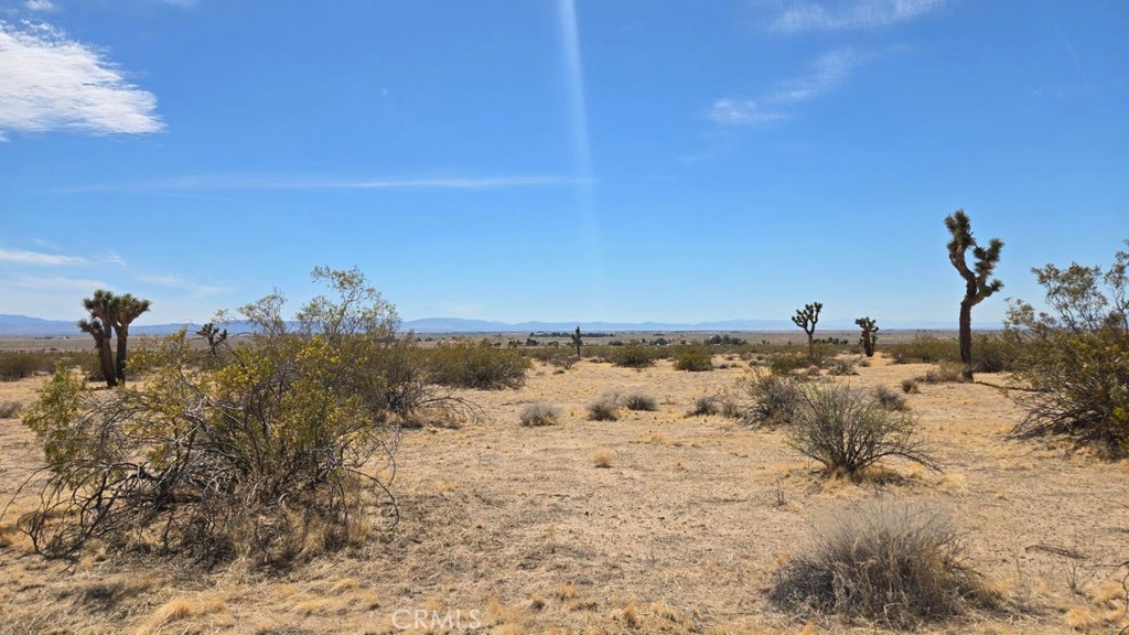 MLS #SR25259975 image #3