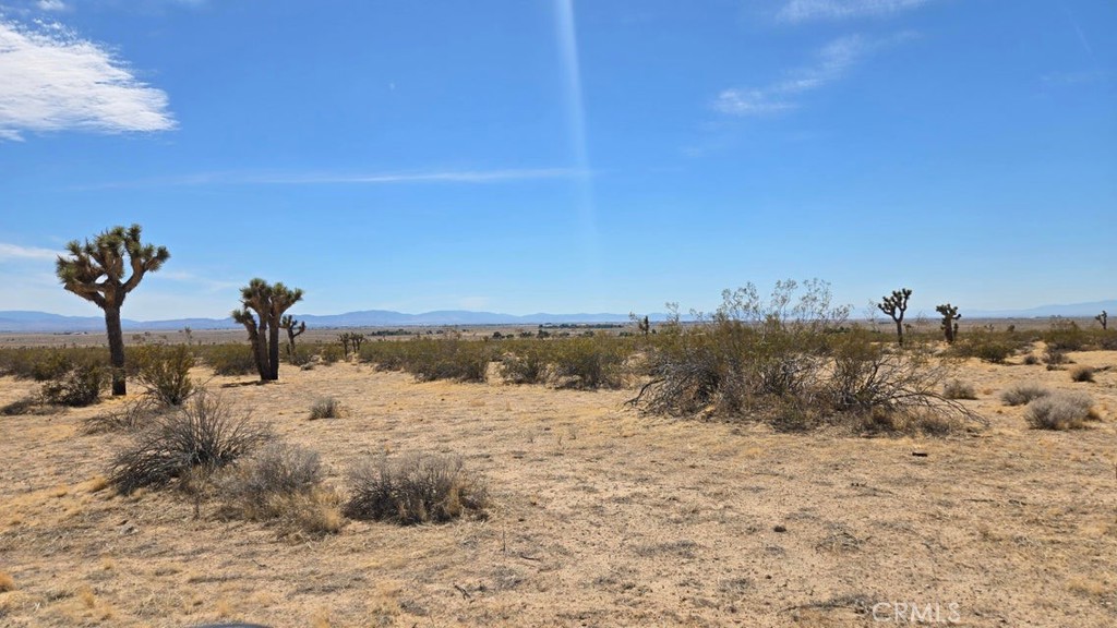 MLS #SR25259975 image #4