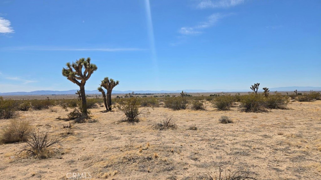 MLS #SR25259975 image #5