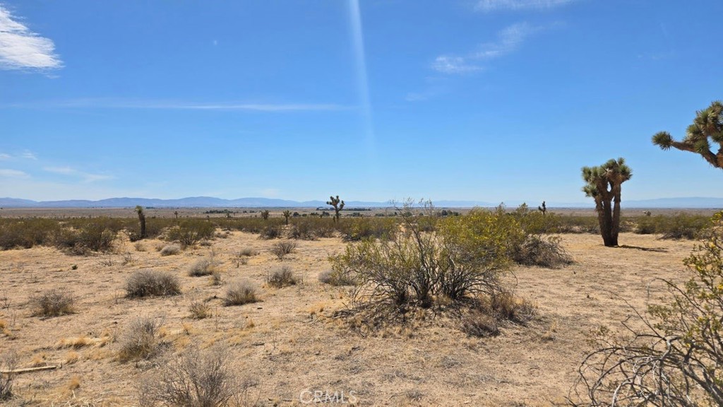 MLS #SR25259975 image #6