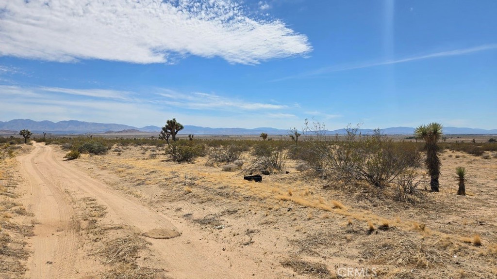 MLS #SR25259975 image #7