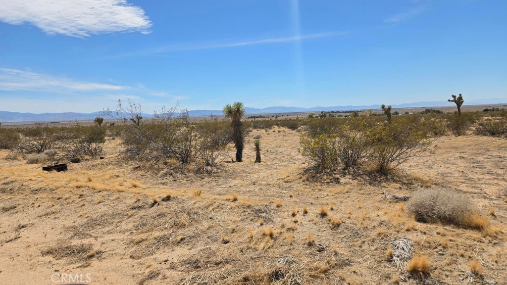 MLS #SR25259975 image #8