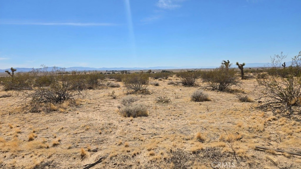 MLS #SR25259975 image #9