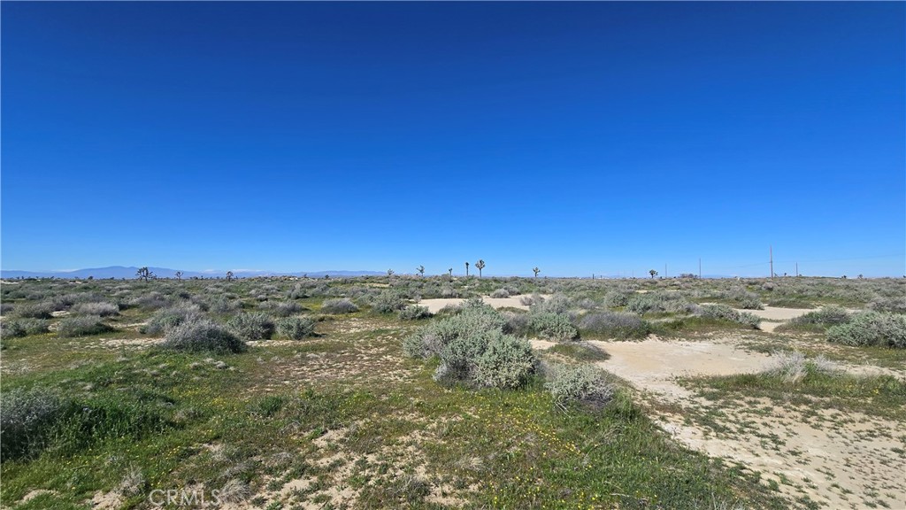 MLS #SR26049527 image #8