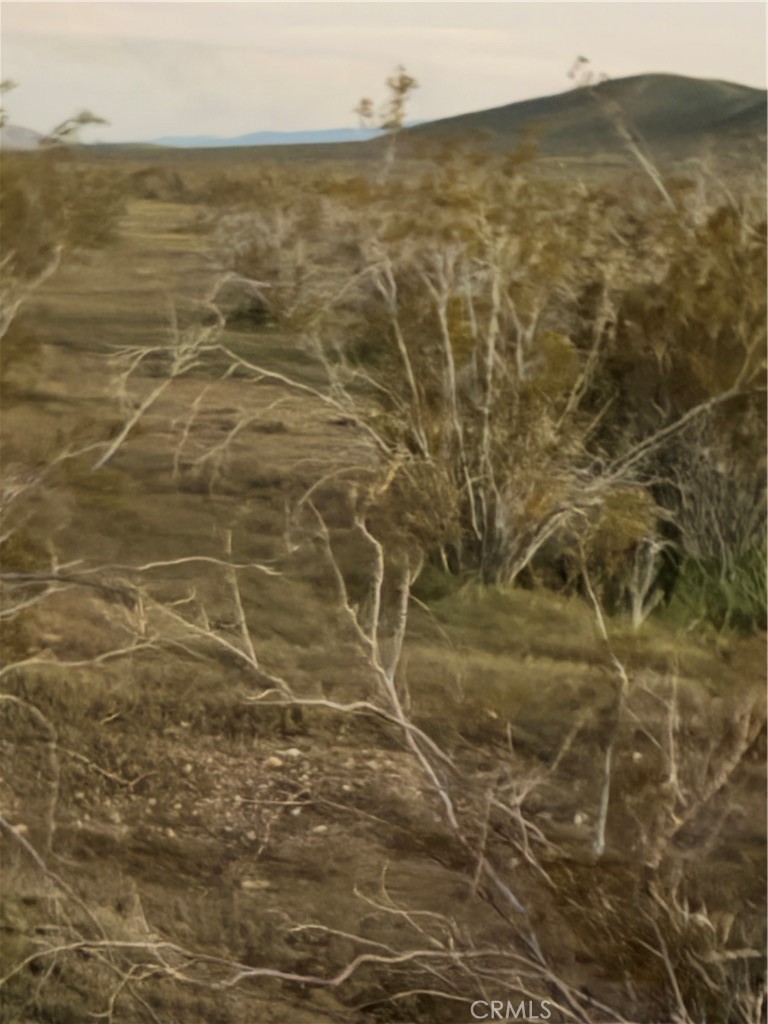 MLS #SR26051018 image #1