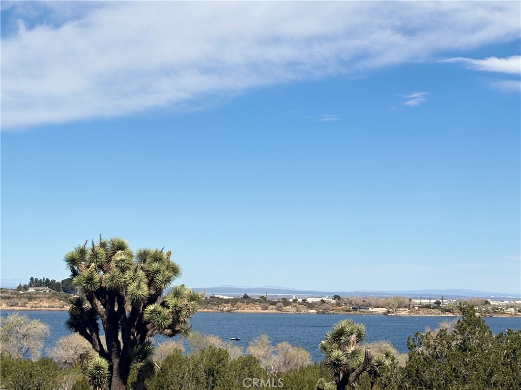 MLS #SR26052604 image #4