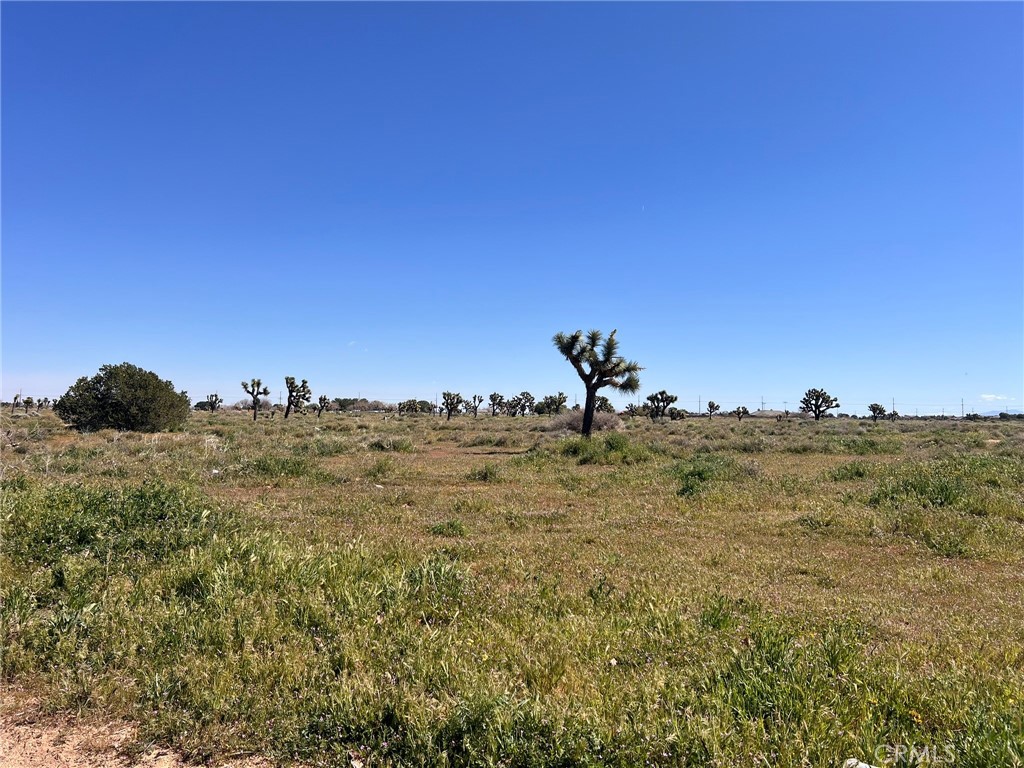 MLS #SR26055510 image #10