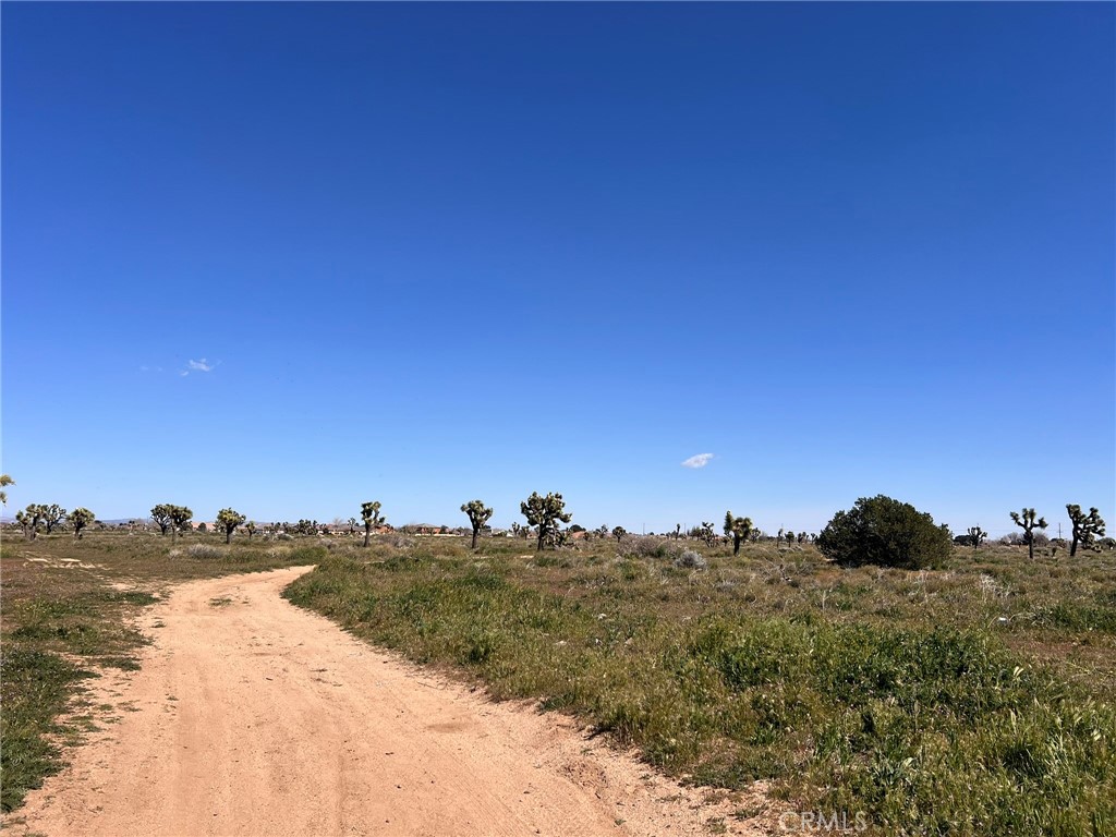 MLS #SR26055510 image #11