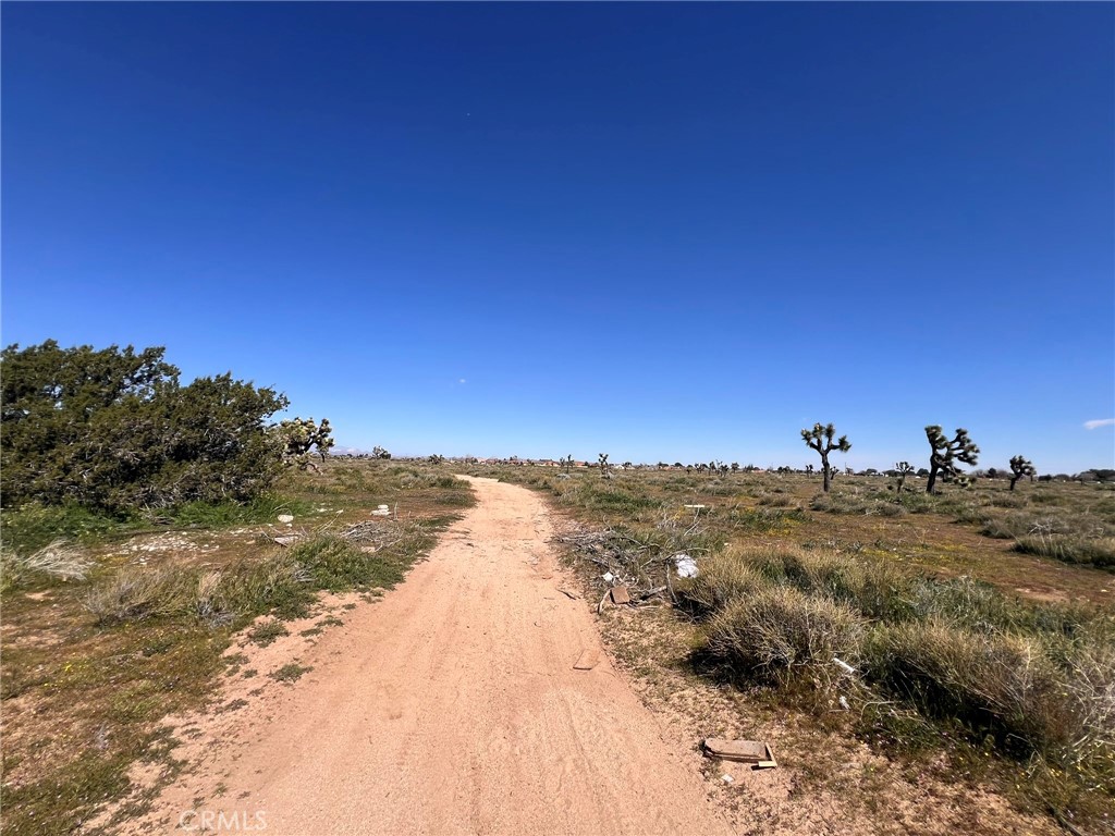 MLS #SR26055510 image #12