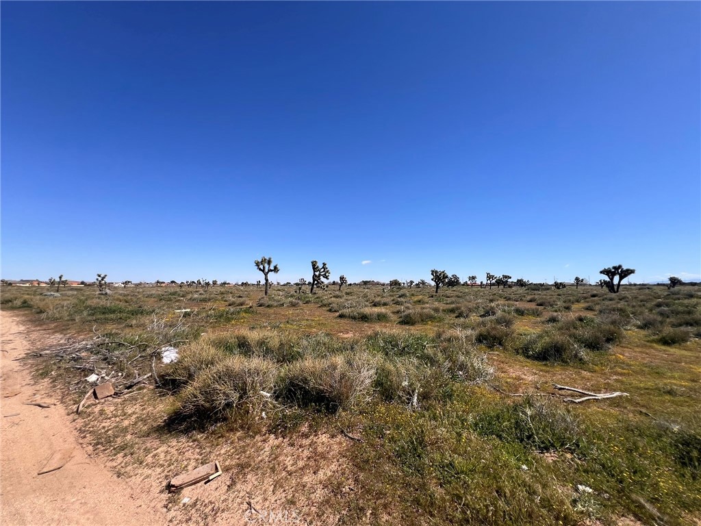 MLS #SR26055510 image #13