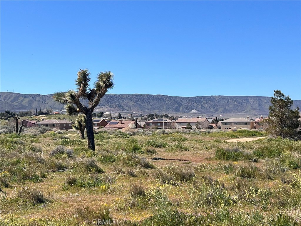 MLS #SR26055510 image #16