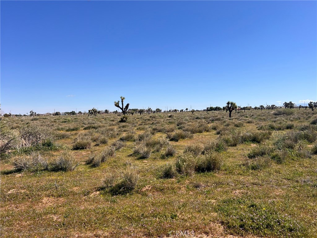 MLS #SR26055510 image #4