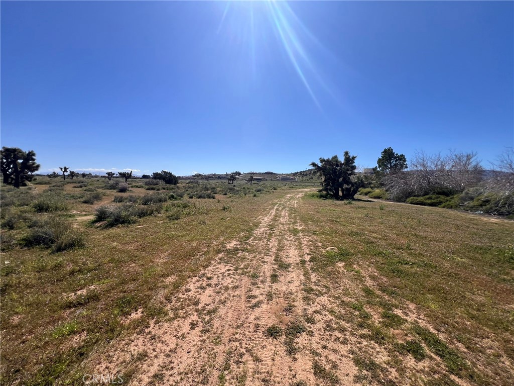 MLS #SR26055510 image #6