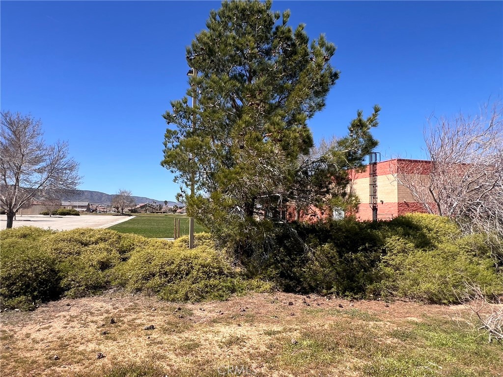 MLS #SR26055510 image #8