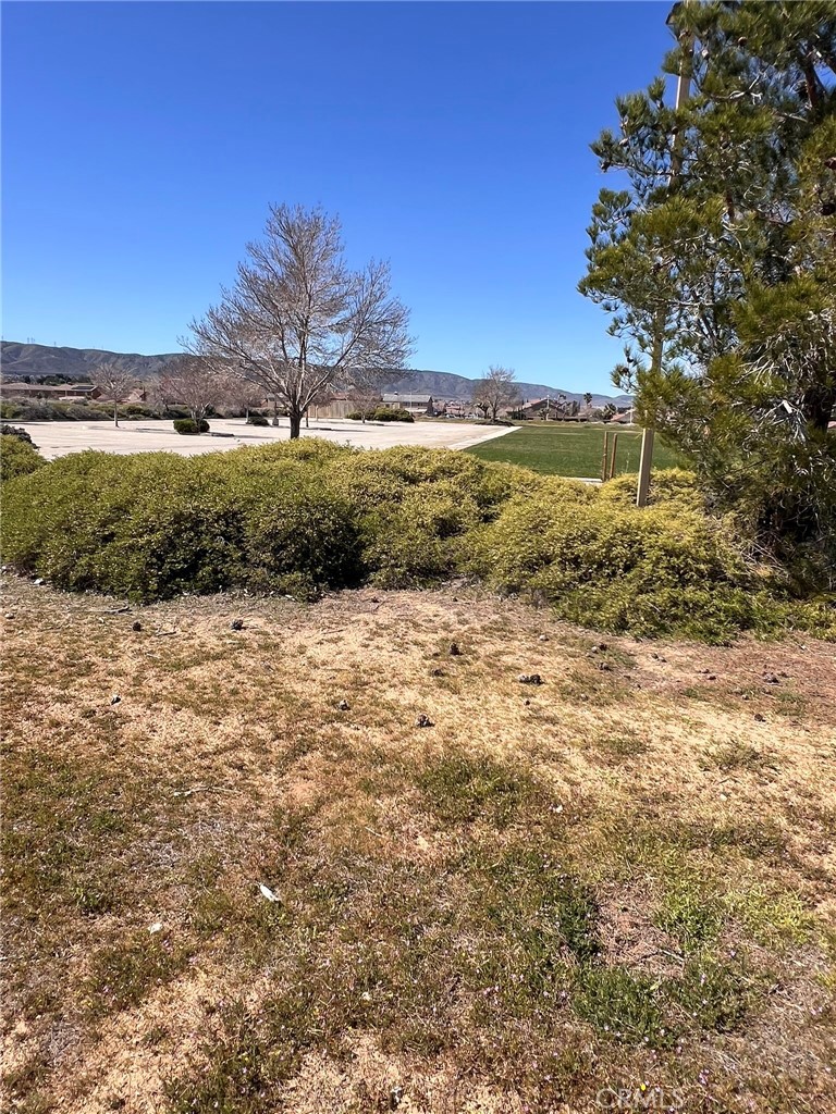 MLS #SR26055510 image #9