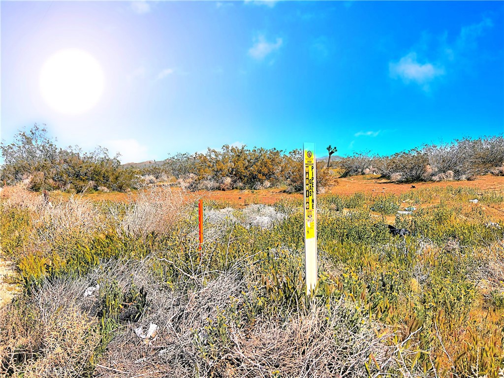 MLS #SR26055660 image #25