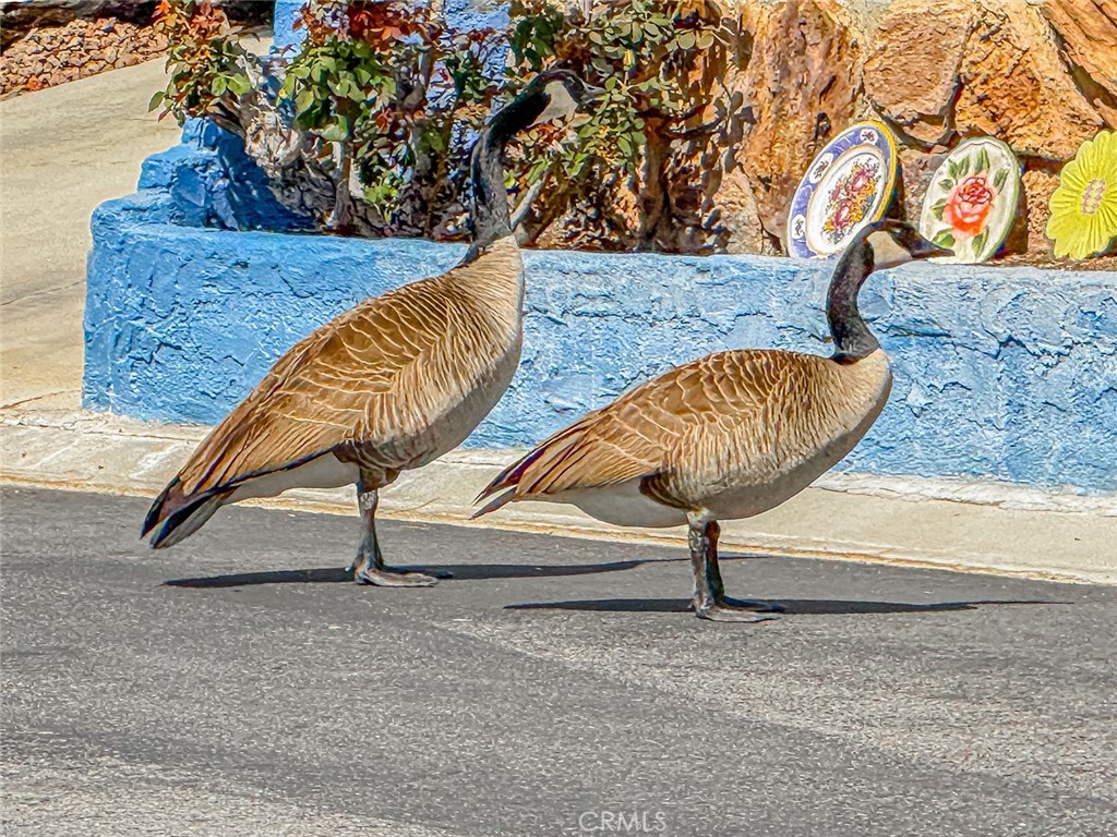 MLS #SR26055687 image #49