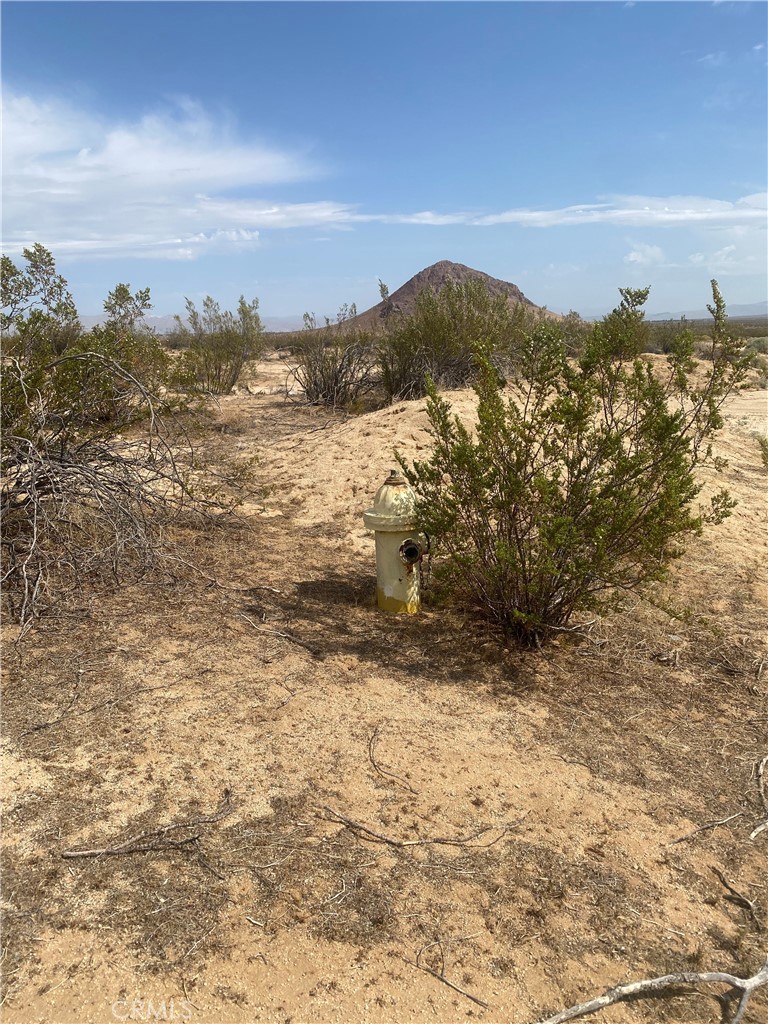 MLS #SR26055843 image #2