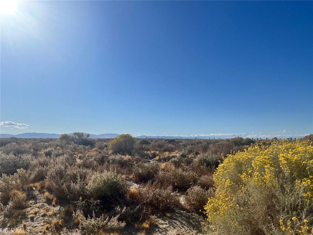 MLS #SR26057904 image #4