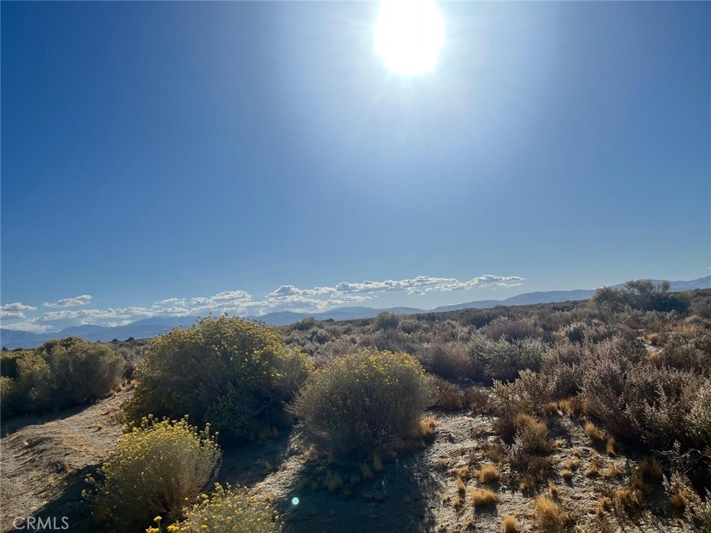 MLS #SR26057904 image #5