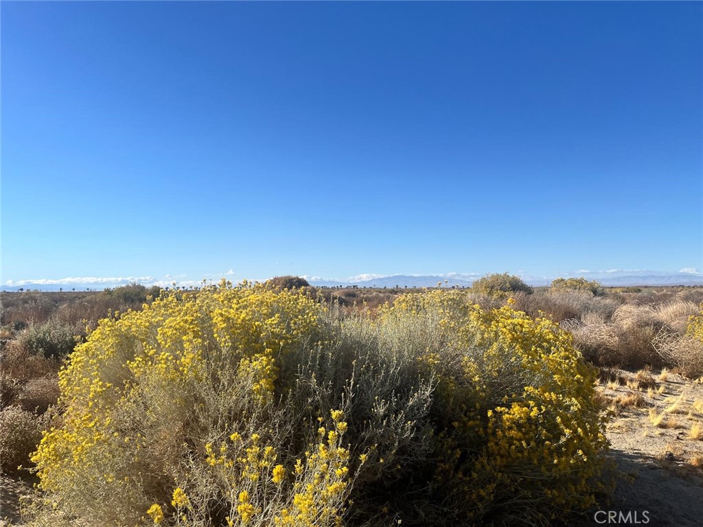 MLS #SR26057904 image #6